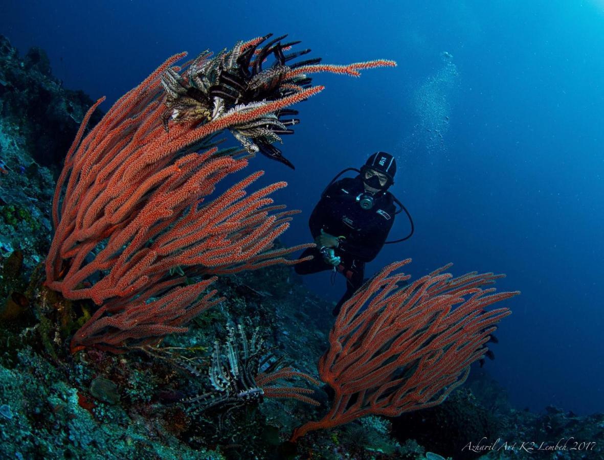 K2 Lembeh Dive Resort Bitung Extérieur photo